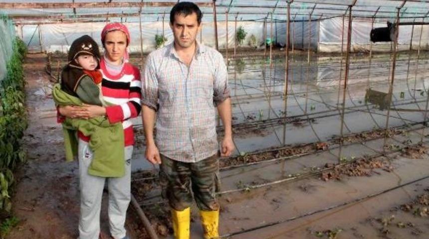 Kumluca'da Şiddetli Yağışta Dere Taştı Seraları Su Bastı (2)