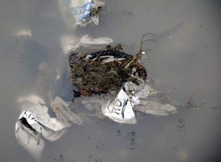 Porsuk’tan Çıkanlar Görenleri Şaşırtıyor G1