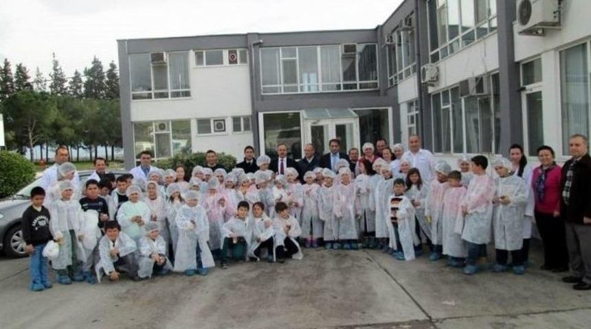 &Ouml;ğrenciler S&uuml;t &Uuml;retimini İnceledi