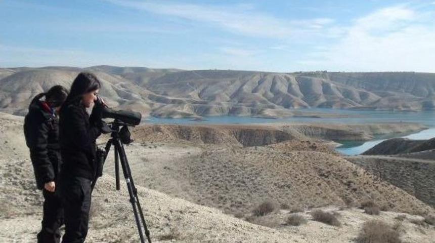 Adıyaman'da 57 T&uuml;rden 29 Bin 91 Su Kuşu Sayıldı