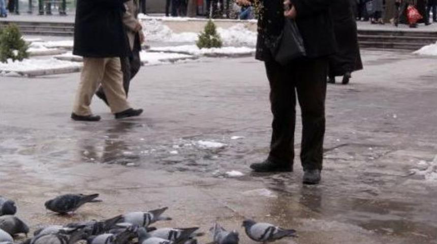 A&ccedil; Kalan G&uuml;vercinleri Yemliyor