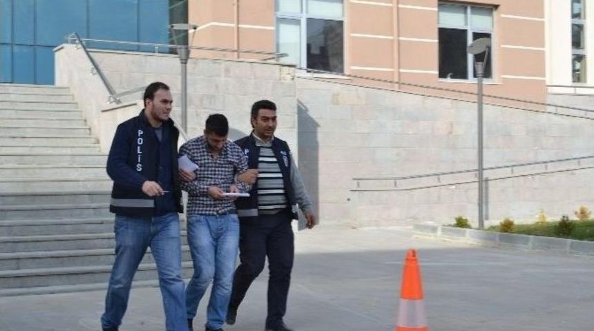 Gezmeye Geldi Yakayı Ele Verdi