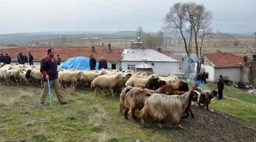 Yozgat&rsquo;ta 324 Kişi S&uuml;r&uuml; Y&ouml;netimi Kursuna Katılıyor