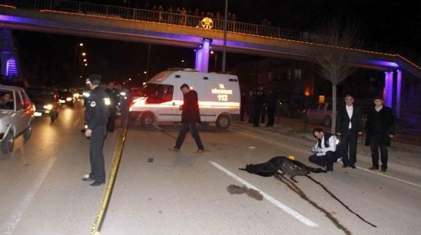 Eşini Aldatan Kadın İntihar Etti