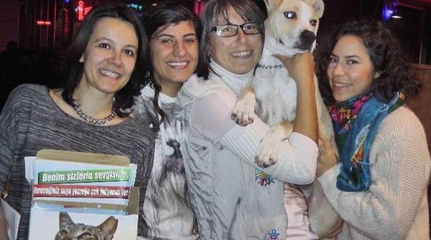 Şarkılar Hayvanlar Yararına S&ouml;ylendi