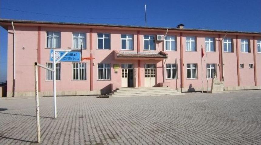 Yarımbağ Yine Beyaz Bayrak Aldı