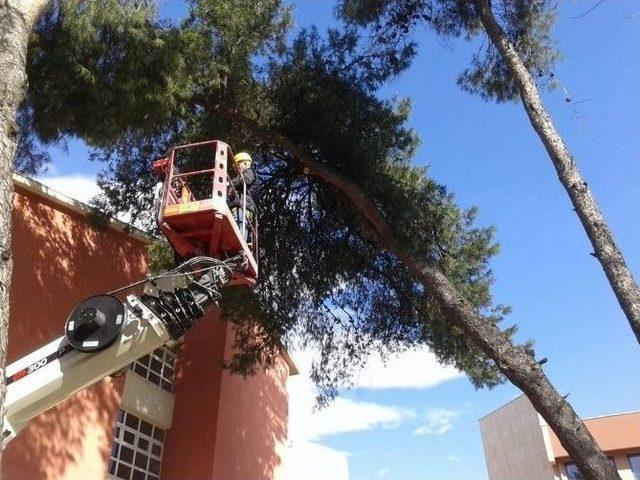 Efeler Belediyesi Eğitim Kurumlarına Destek Vermeye Devam Ediyor