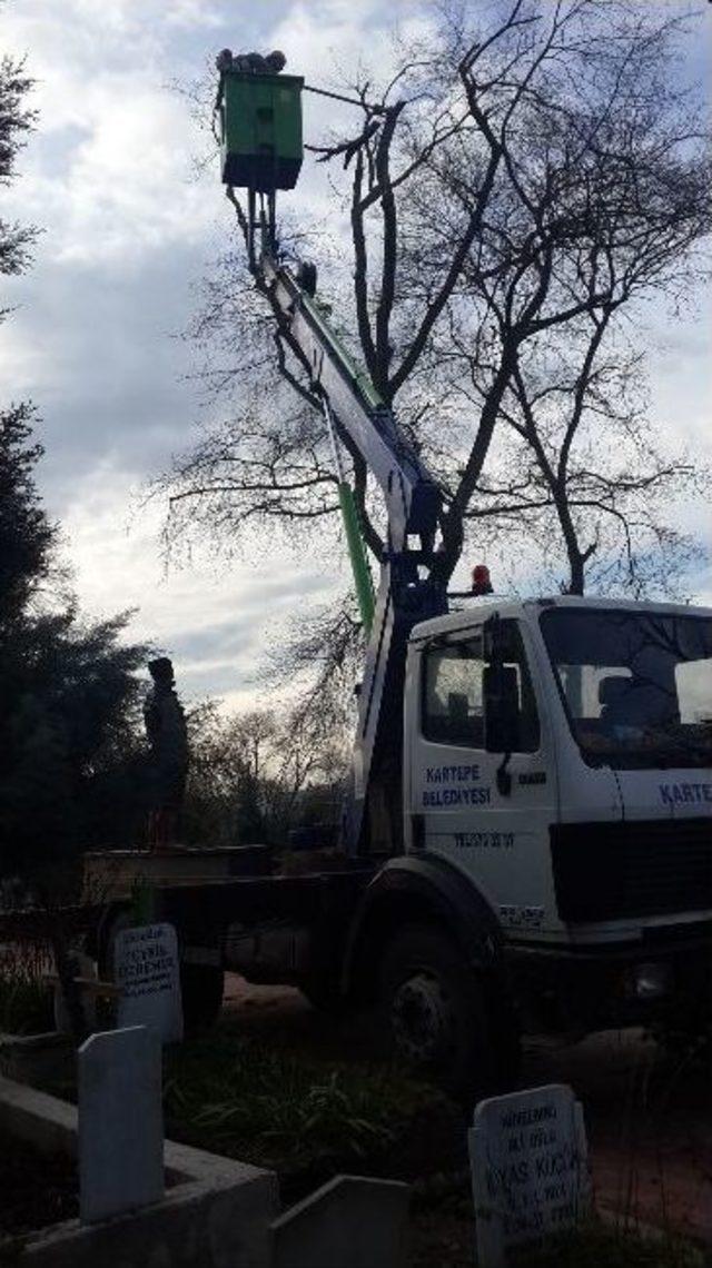 Kartepe Mezarlıklarında Bitki Bakım Çalışması Yapıldı