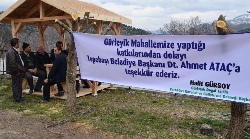 Tepebaşı&rsquo;ndan G&uuml;rleyik&rsquo;e Kamelya Desteği