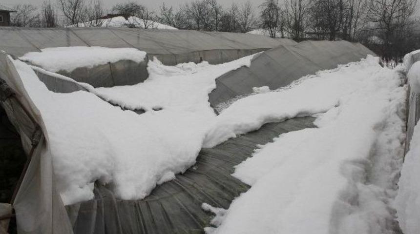 D&uuml;zce&rsquo;de Kar Yağışı Hasar Tespiti Yapıldı