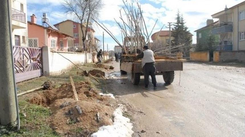 Bolvadin&rsquo;de Ağa&ccedil; Dikim &Ccedil;alışmaları Başladı