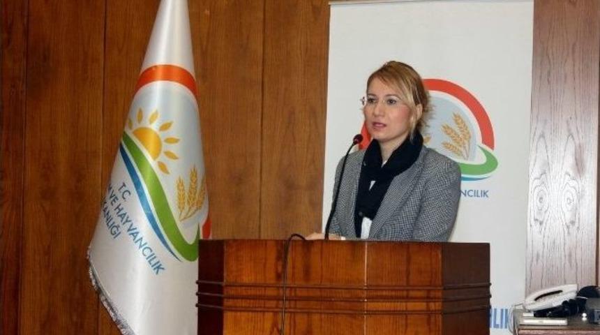 Hayvan Hastalıkları İle M&uuml;cadele Toplantısı