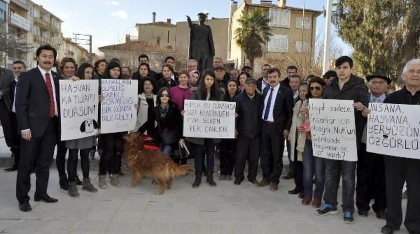 Arazide Leşi Bulunan 84 Köpek, Taşınırken Araçta Boğulmuş (3)