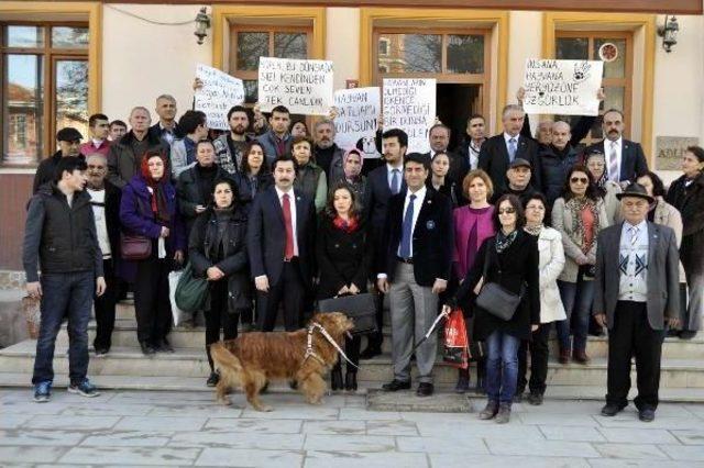 Arazide Leşi Bulunan 84 Köpek, Taşınırken Araçta Boğulmuş (3)