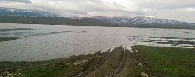 Aşırı Yağışlar Ve Eriyen Kar Suları, 15 Bin Dekar Ekili Alanda Zarara Yol Açtı