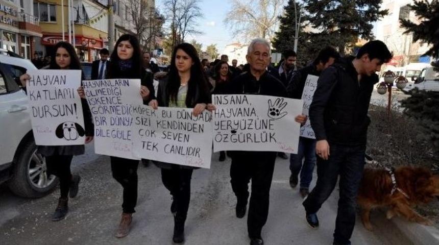 Yenişehir&rsquo;deki Hayvan Katliamına Pankartlı Protesto