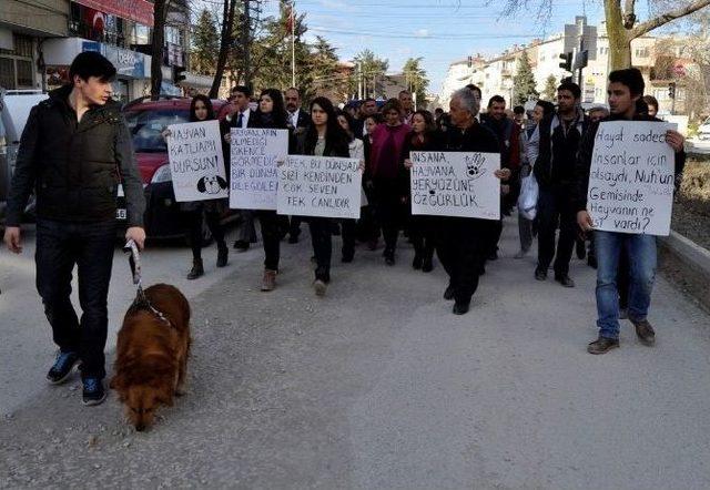 Yenişehir’deki Hayvan Katliamına Pankartlı Protesto