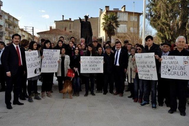 Yenişehir’deki Hayvan Katliamına Pankartlı Protesto