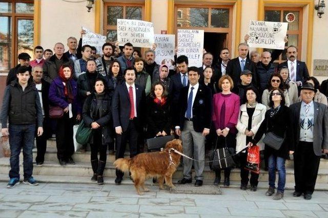 Yenişehir’deki Hayvan Katliamına Pankartlı Protesto