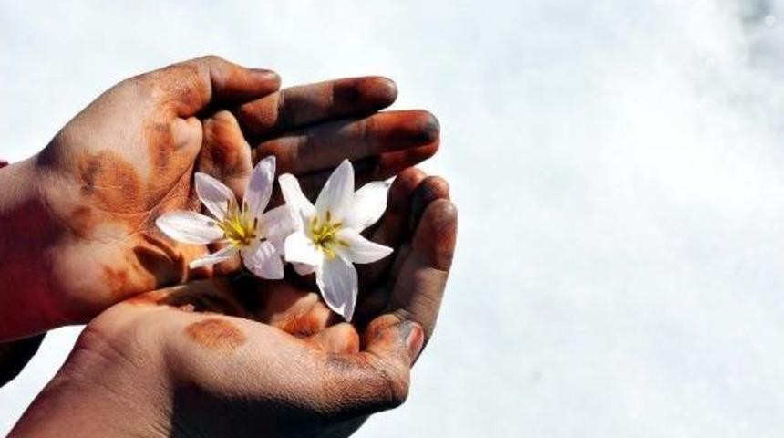 Van'da Kardelenler Erken A&ccedil;tı