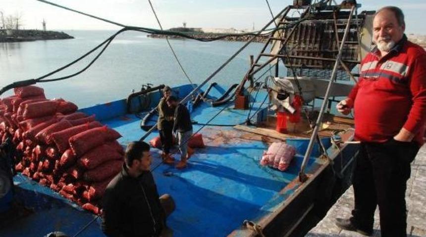 Ak&ccedil;akoca'nın Midyesi İspanya Ve İtalya'ya Satılıyor