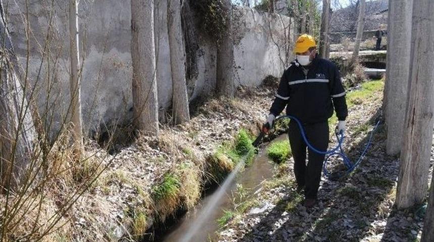 Niğde Belediyesi İlaçlama Ekipleri İş Başında