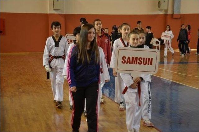 Türkiye Anadolu Yıldızlar Ligi Taekwondo Müsabakaları Yapıldı