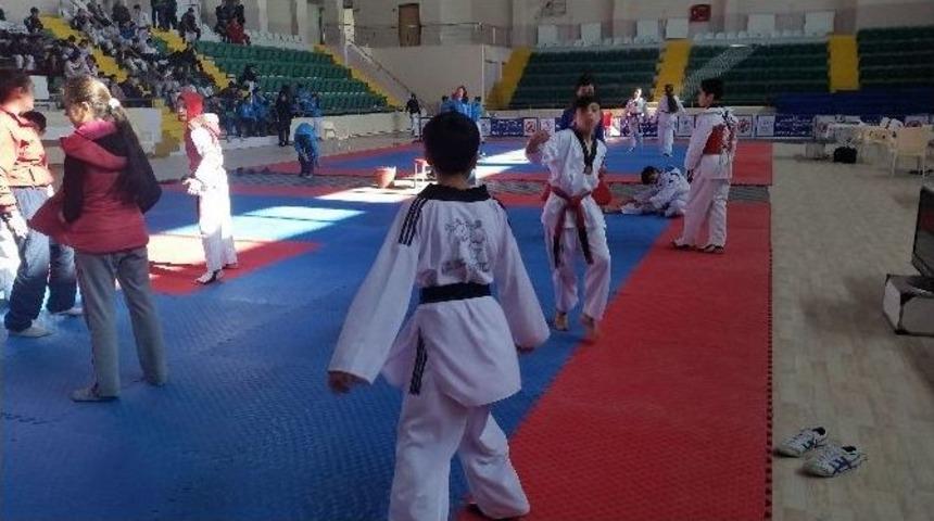 Anadolu Yıldızları Tekvando Yarı Final Se&ccedil;meleri Başladı