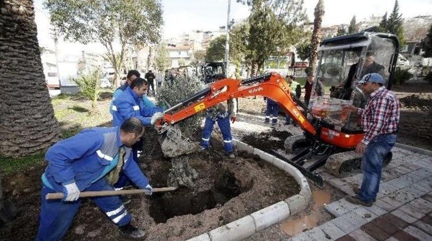 T&uuml;lay Aktaş Parkı Adına Yakışır Oldu