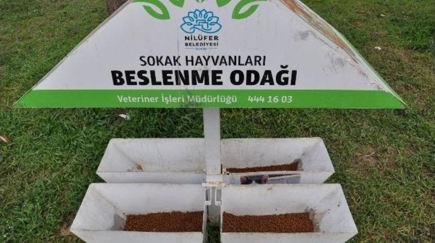 (&ouml;zel Haber) Hırsızlar Bu Kez K&ouml;pek Mamalarına G&ouml;z&uuml;n&uuml; Dikti