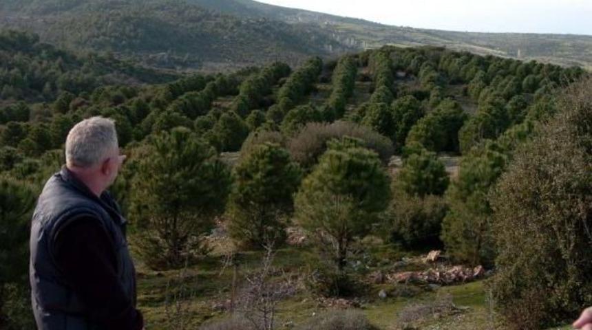 Filmdeki Rol&uuml; Ger&ccedil;ek Oldu