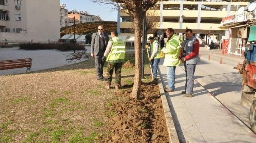 Nazilli Park, Yeşil Alan Ve Ref&uuml;jlerde Bahar Hazırlığı