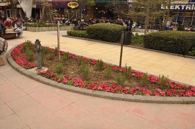 Nazilli Park, Yeşil Alan Ve Refüjlerde Bahar Hazırlığı