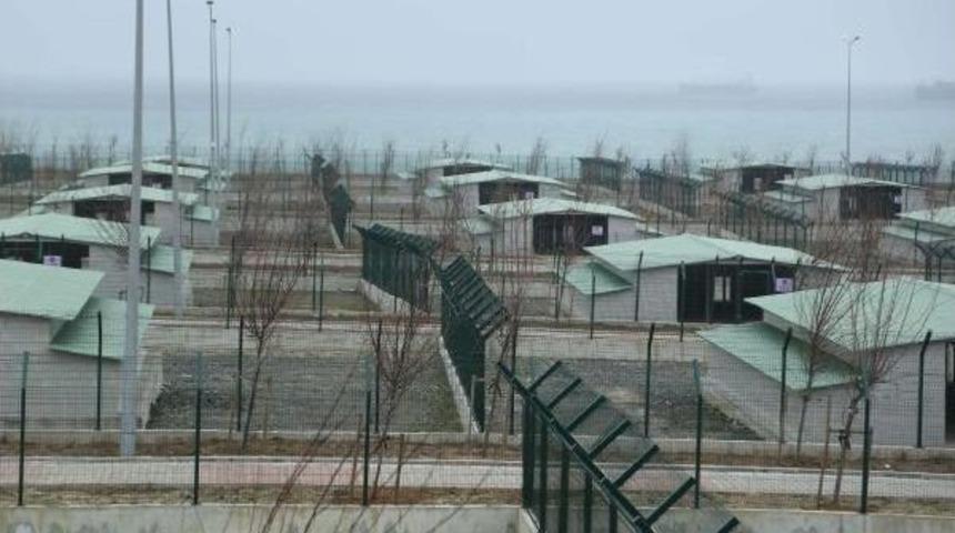 Kısırkaya Hayvan Barınağı Kapılarını A&ccedil;tı