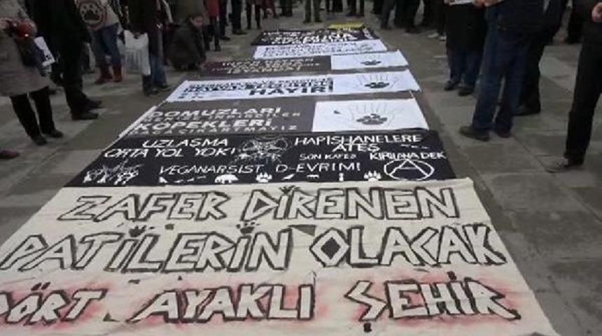 Pendik'te Yapılacak Hayvan Barınağına Karşı &Ccedil;ıkan Hayvanseverler İbb'ye Y&uuml;r&uuml;d&uuml;