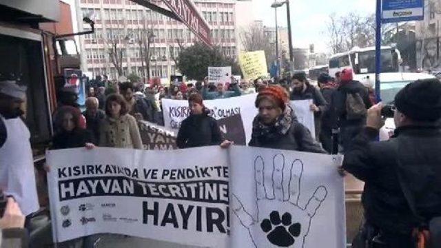 Pendik'te Yapılacak Hayvan Barınağına Karşı Çıkan Hayvanseverler İbb'ye Yürüdü