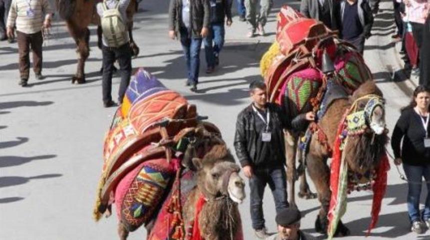 Balıkesir'de Develi Korteje Yoğun Ilgi