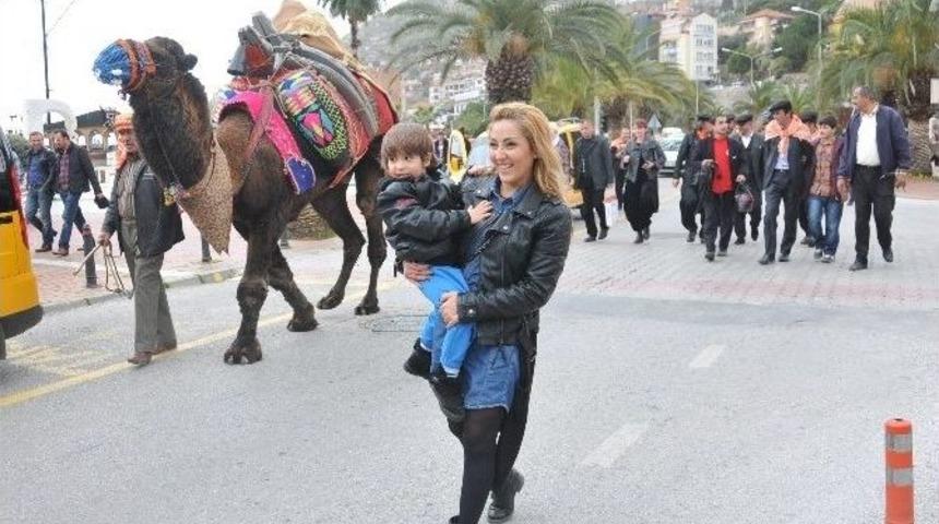 40 Yıl Sonra İlk Kez Deve Güreşleri Heyecanı