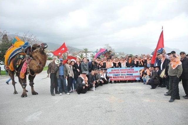 40 Yıl Sonra İlk Kez Deve Güreşleri Heyecanı