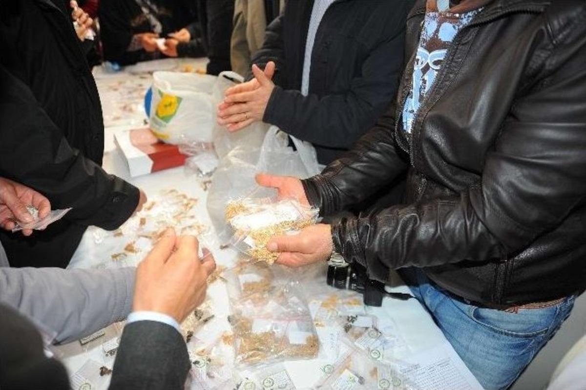 Yerli Tohumlar Takas Edildi