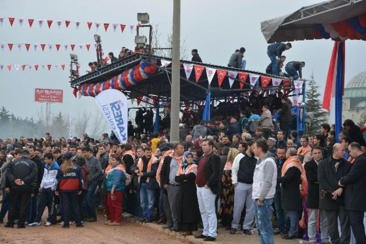Balıkesir&rsquo;de Deve G&uuml;reşleri B&uuml;y&uuml;k İlgi G&ouml;rd&uuml;