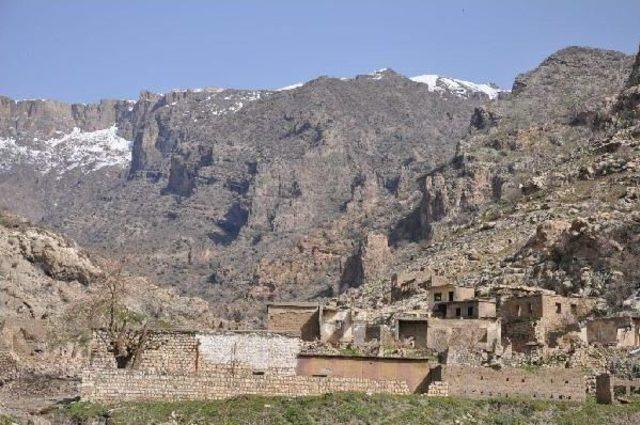 Asurilerin Köylerine Dönüşü, Işid Tehlikesine Takıldı