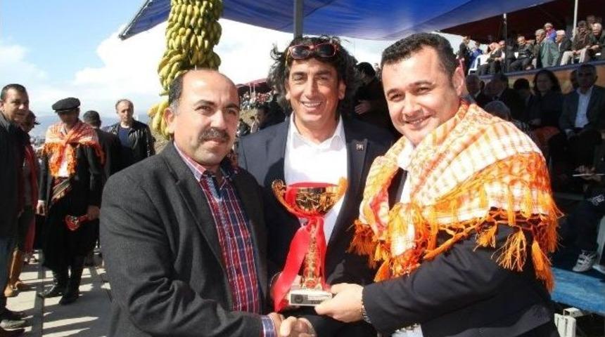 Altın Muz Deve G&uuml;reşleri Festivali