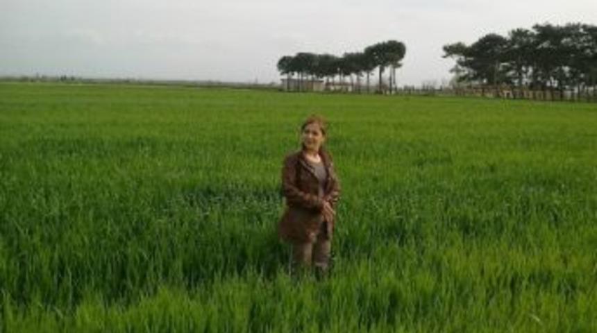 Mazot, G&uuml;bre Ve Toprak Analizi Desteği &Ouml;demesi Başladı