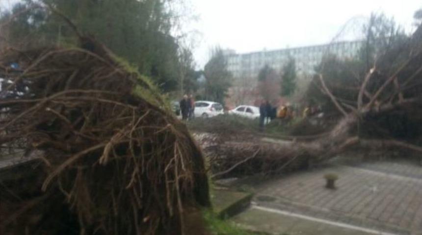 İyi Ki Altında İnsan Yoktu