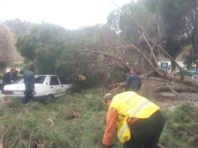 İyi Ki Altında İnsan Yoktu 1