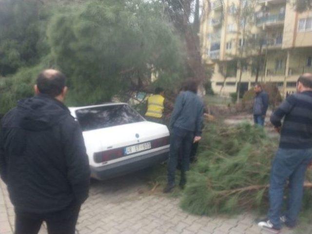 İyi Ki Altında İnsan Yoktu 2