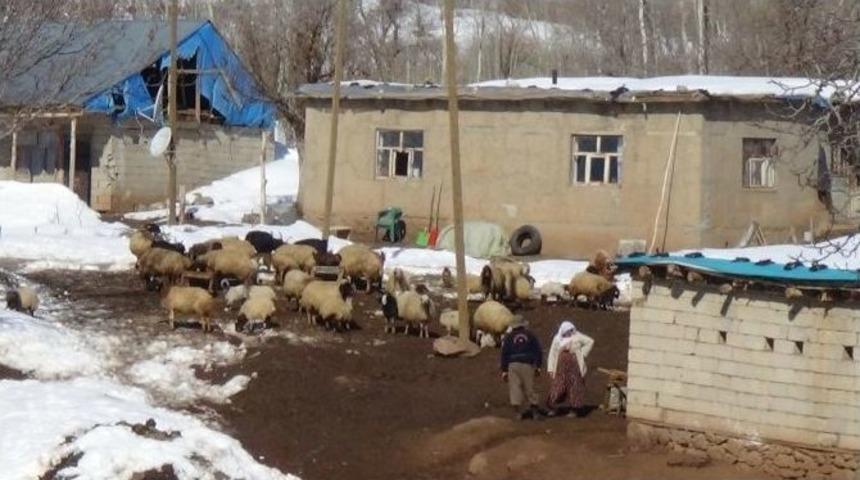 Işık K&ouml;y&uuml;nde İ&ccedil;me Suyu Ve Yol Sorunu