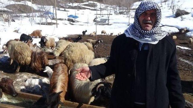 Işık K&ouml;y&uuml;nde İ&ccedil;me Suyu Ve Yol Sorunu 2