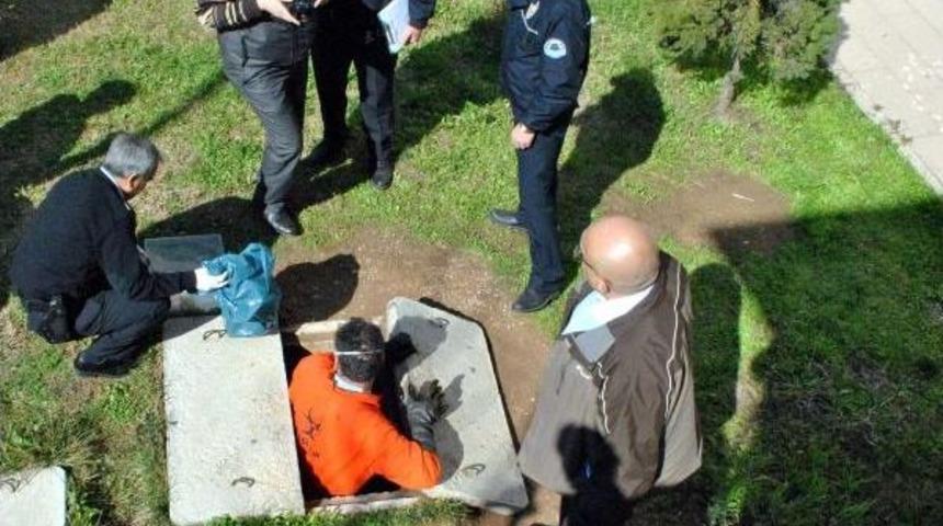 Aynı Hastane Aynı R&ouml;gar &Ccedil;ukuru, Ikinci Cenin